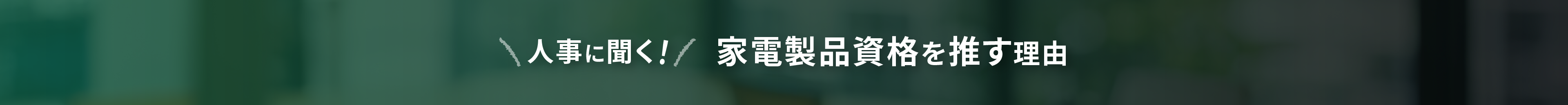 人事に聞く! 家電製品資格を推す理由